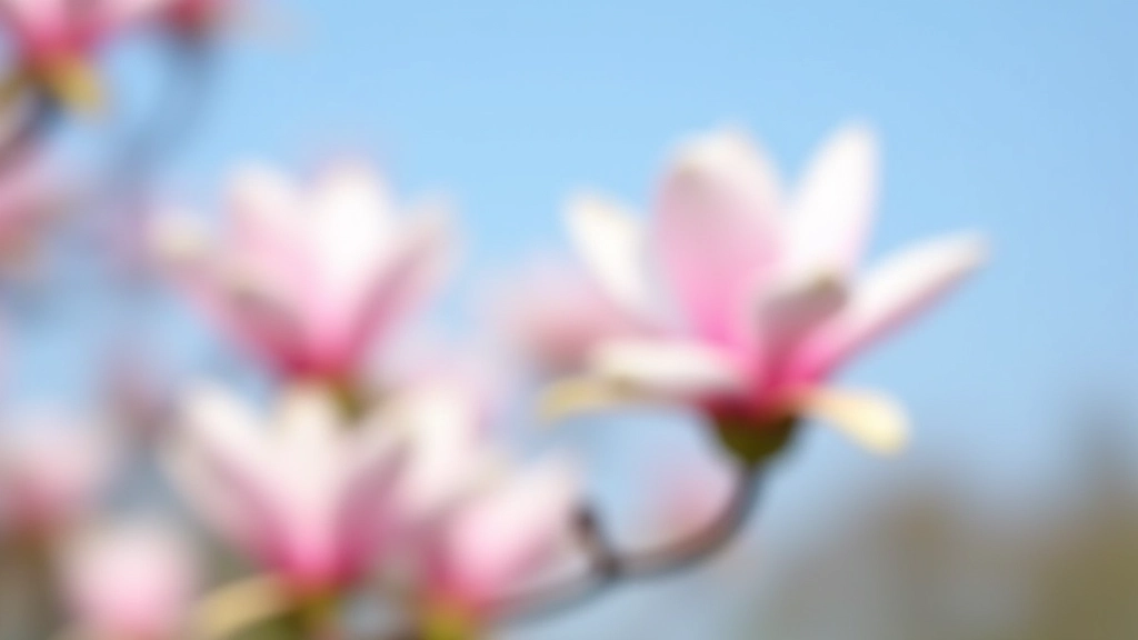 Pink and white magnolia blossoms in spring at Birr Castle, with soft petals against a clear blue sky
